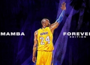 开云体育平台APP-从沙漠到球场，当阿尔及利亚精神在NBA季后赛之夜狂胜巴黎