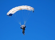 开云体育APP下载-从纽约到都灵，阿尔卡拉斯的关键制胜，如何将美网完胜转化为年终总决赛的统治力