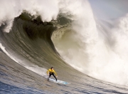 开云体育入口-绿茵场上的法兰西之舞，乒乓球台边的亚洲闪电—体育世界的多元突破