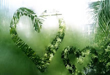 开云体育下载-活塞启示录，当克莱的全程高能照亮辽宁队的东方智慧