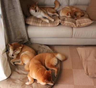 东决关键战之夜，特奥稳定输出不掉线