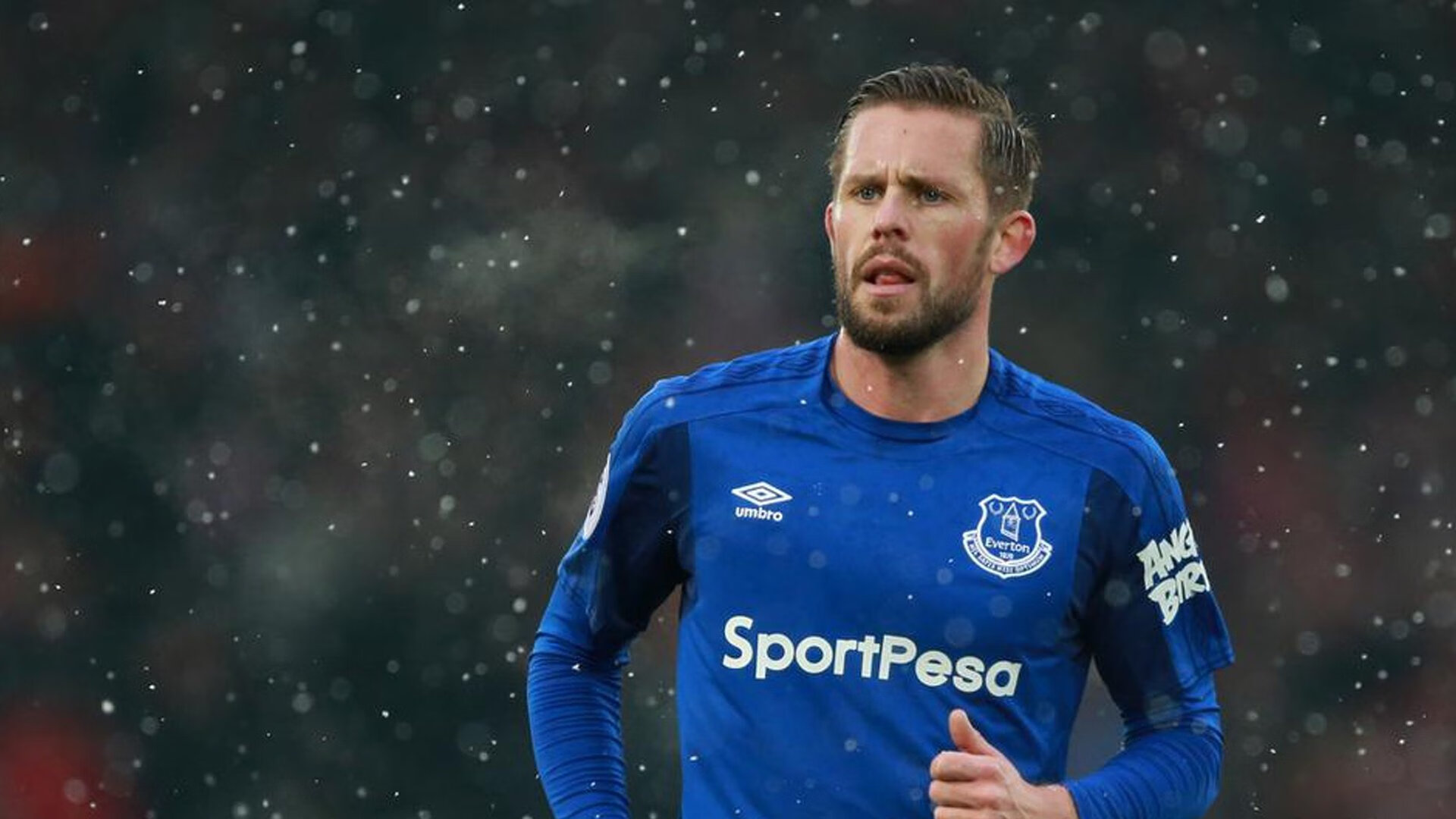 慕尼黑之夜，伊布委刀出鞘—当北欧神话降临南美丛林