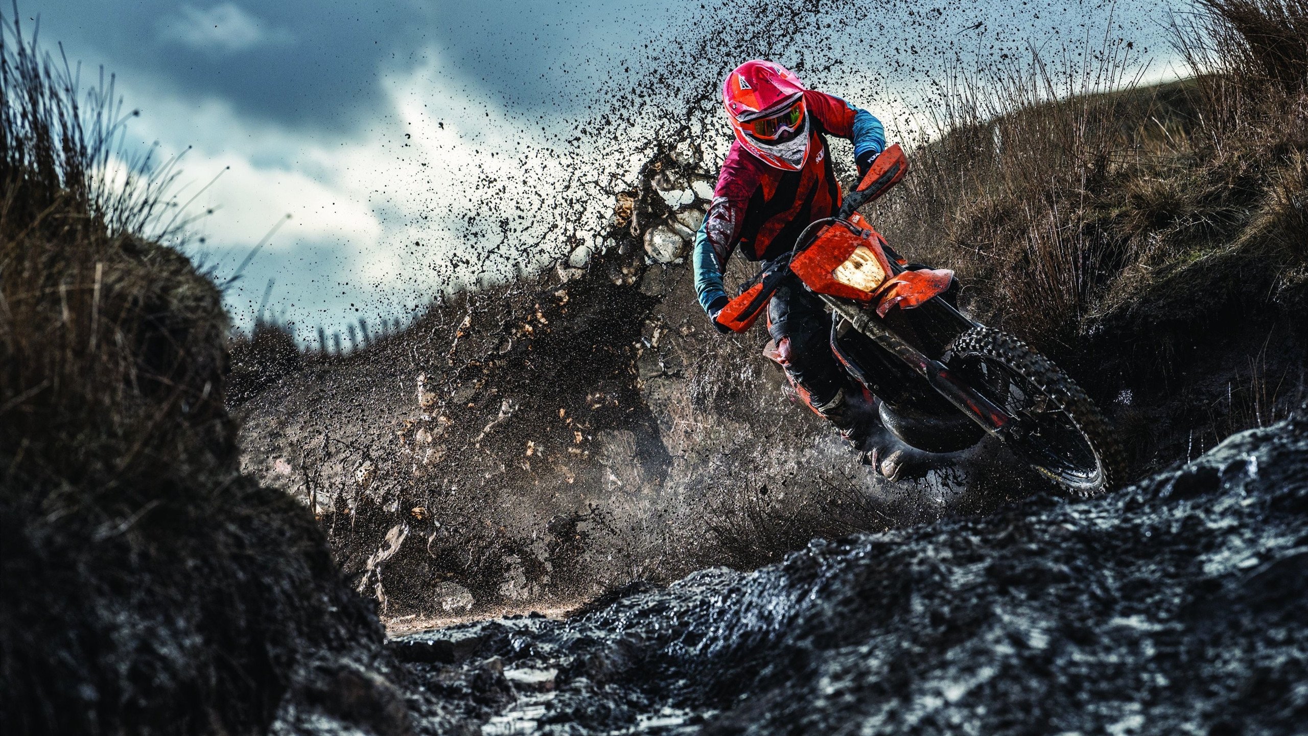 赛道与球场的双重奏，浓眉接管F1揭幕战，奇才加时力克独行侠