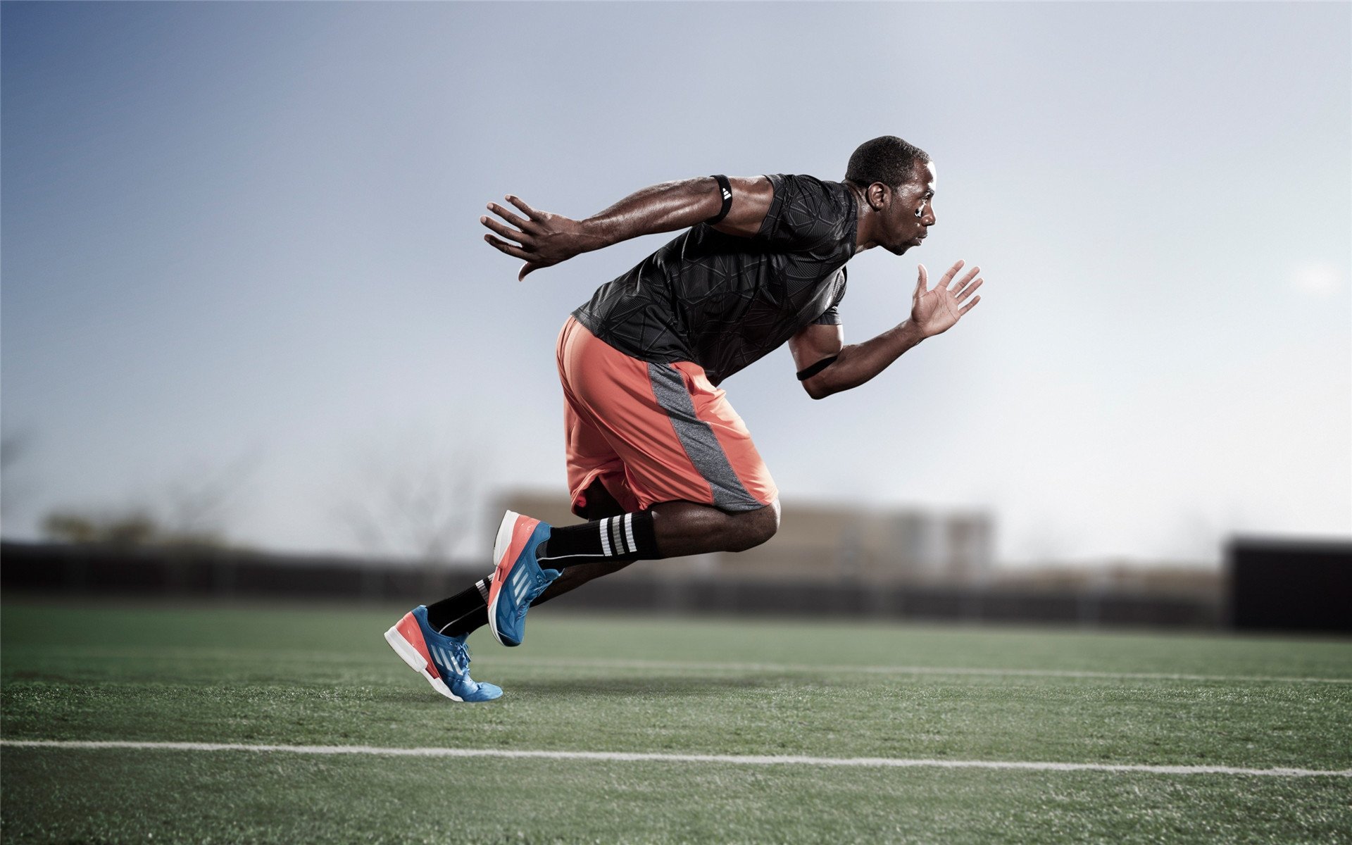 津门虎啸破华南虎 米切尔点燃赛场之夜